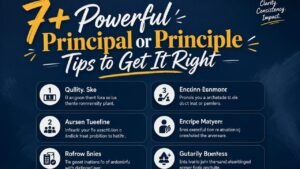 7+ Powerful Principal or Principle Tips to Get It Right
